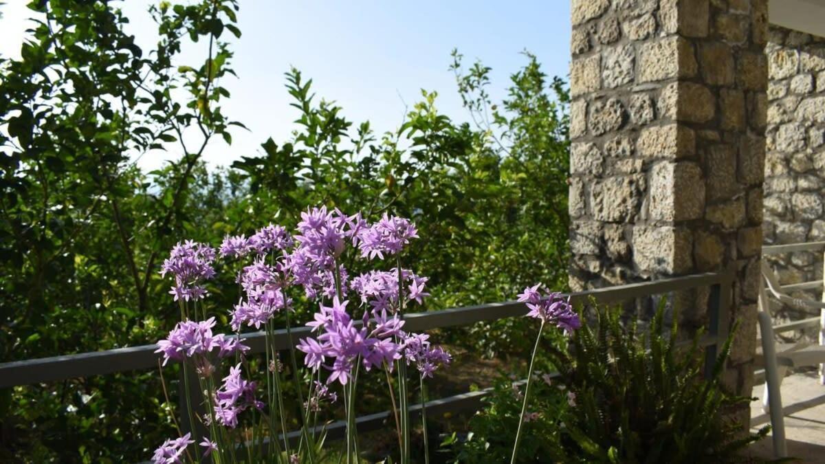 Вілла Coastal Stone Hideaway With Stunning Scenery Kitriai Екстер'єр фото
